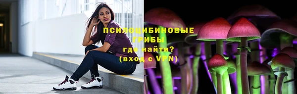 сатива Дмитров