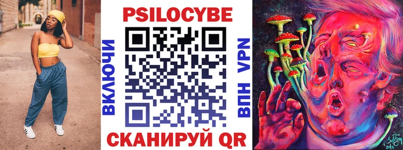 Псилоцибиновые грибы Psilocybine cubensis  Вилюйск 
